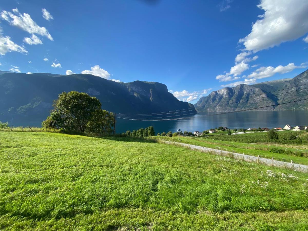 Winjum Hostel Stegastein アウルラン エクステリア 写真